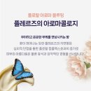 플로라블러썸 이미지