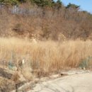 거창군웅양면하성보건진료소 이미지