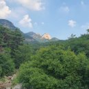 사라리할머니 이미지