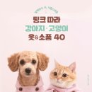 팅크 이미지