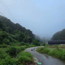 선산동물병원 | 예산 추석맞이 집안행사 벌초후기