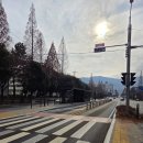 가음정사거리 | 창원특례시 S-BRT 시승 겸 그린하우스 베이커리 도계본점 후기(서울 → 경상남도 창원특례시 → 서울)