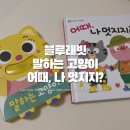[5살 육아일상] 블루래빗 말하는고양이(따라쟁이 사운드북), 어때 나 멋지지?(옷입히기 퍼즐북) 후기