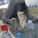 빠담목장 | 아기랑 가기좋은 아기동물농장