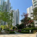 미사랑약국 이미지