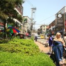 성도약국 이미지