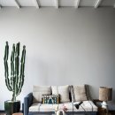 안토니오록산 이미지