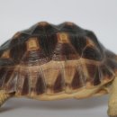 아우름 동물병원 이미지