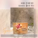 이솝우화플라워 이미지