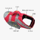 댕댕이라이프 이미지