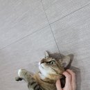 호텔마음 이미지