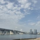 GS25연산더샵파크점 | 25년 11월 18일 부산 아파트 실거래가 남천자이33평14.5억,더샵남천프레스티지39평12.25억신고가