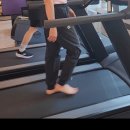 웰니스피티스튜디오 이미지