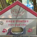 5/15 (金) 09~노인지원사업, 선학동 느티나무 공원, 안전 지킴이 활동현황 이미지