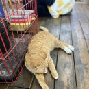 커피먹고가세 이미지