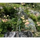 승마펜션 이미지