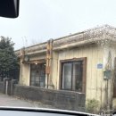 제주커피식물원 이미지