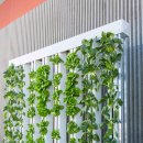 인한농장 이미지