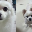 곧바로병원 이미지