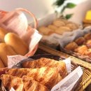 # 🌸 도쿄 벚꽃 명소 근처 숙소 추천 호텔 6선 – 시간을 잊고 여유롭게 꽃놀이 만끽하기