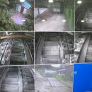 명국농장 이미지