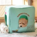 마르셀 하우스 이미지