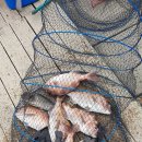 강화선두바다낚시터 이미지