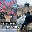 바닷가 힐링캠프 | 3월 산행지 추천 직접 가본 등산 전라도 매화산행 BEST4