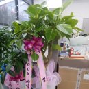 참조은복지용구 이미지