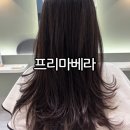 미남역 14번출구 | 동래 미용실 미남역 미용실 프리마베라 동래점 은심실장님에게 레이어드컷 밀본클리닉 받고 온 후기
