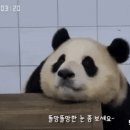 에버닌 이미지