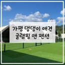 세븐일레븐운악청계로테마파크점 | 가평 반려견 동반 숙소 글램핑 펜션 추천 가평 댕댕이 애견 글램핑 앤 펜션