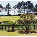 거산 의료기 이미지