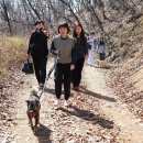 [산책봉사] 4월 28일(일요일) 리버하우스 중대형견 아이들 산책봉사 신청받습니다. 이미지
