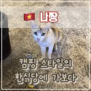 BBQ | 🥩 나트랑, 나짱 한식당, 다당 BBQ 한식당 후기