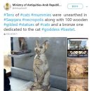 바스테트(Bastet) 이미지