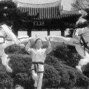 국제고려태권도 이미지