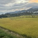 브라운도트호텔 양산서창점 이미지