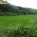 용정3리 이미지