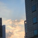 디자인회사바라봄