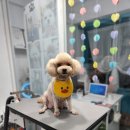 그 남자의 grooming # 공간 이미지