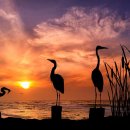 빛나는바다 이미지