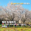 청라 드림파크 야생화단지 봄바람에 취하고 온 주말 산책 후기