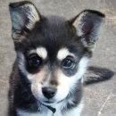 충청대로1 이미지