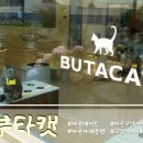 하늘캣 | [마곡/발산] 마곡고양이카페 🐈‍고양이를 '부타캣' 후기