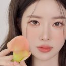 노멀샵 - 전주시 덕진구 오송1길 37-7 | 노멀샵