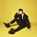 플렉스코리아