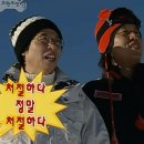당고집 이미지