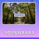 거창-거창-11 | 거창 거대한 손 거창산림레포츠파크 후기와 예약팁