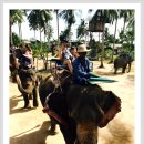 [정관 영어 과외 교습소 & 공부방] ♥영어쌤의 2017년 태국 여행기♥ 2017.06.20 태국(파타야) 이미지